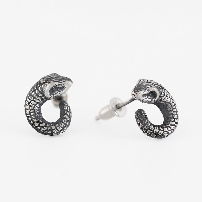 Mythstone 999 Sterling Silver Snake Texture Year Of The Snake Protection Balance Earrings