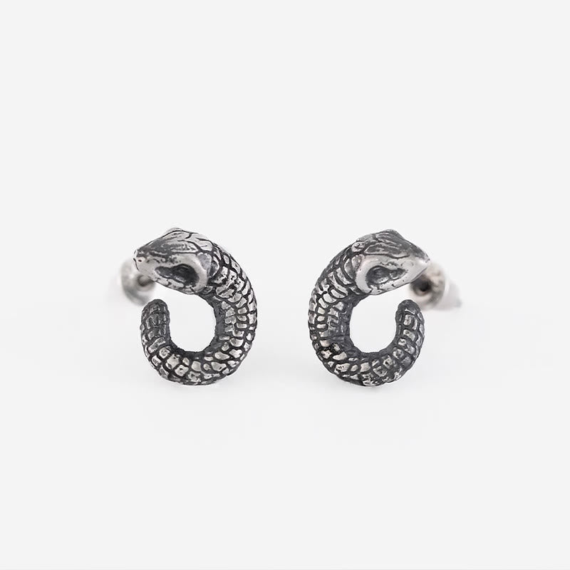 Mythstone 999 Sterling Silver Snake Texture Year Of The Snake Protection Balance Earrings