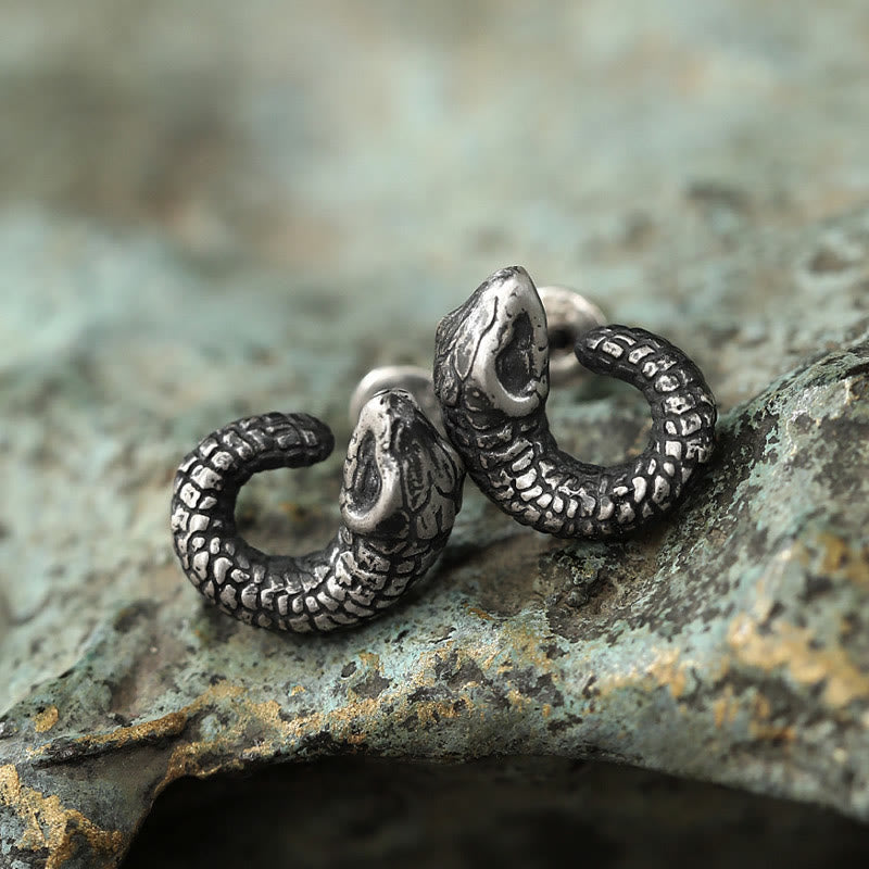 Mythstone 999 Sterling Silver Snake Texture Year Of The Snake Protection Balance Earrings