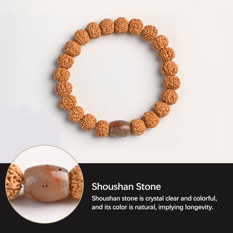 Pulsera de la riqueza y la buena suerte con la semilla de Bodhi de Rudraksha del Tíbet Mythstone