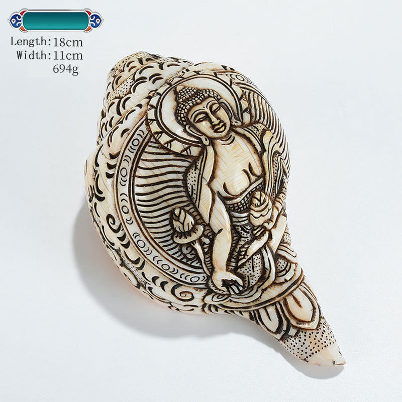 Mythstone Tibetan Handmade Engraved Shankha Buddha Avalokitesvara Conch Shell Wealth Decoration