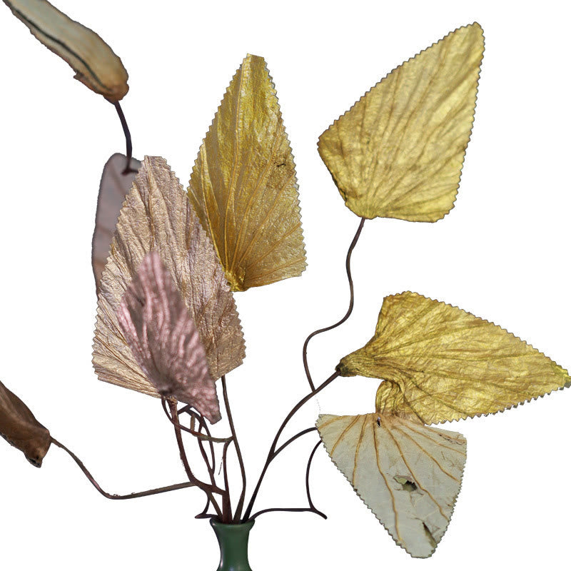 Mythstone Natural Dried Triangle Lotus Leaf Stemmed Plant Bouquet Home Decoration Ornaments