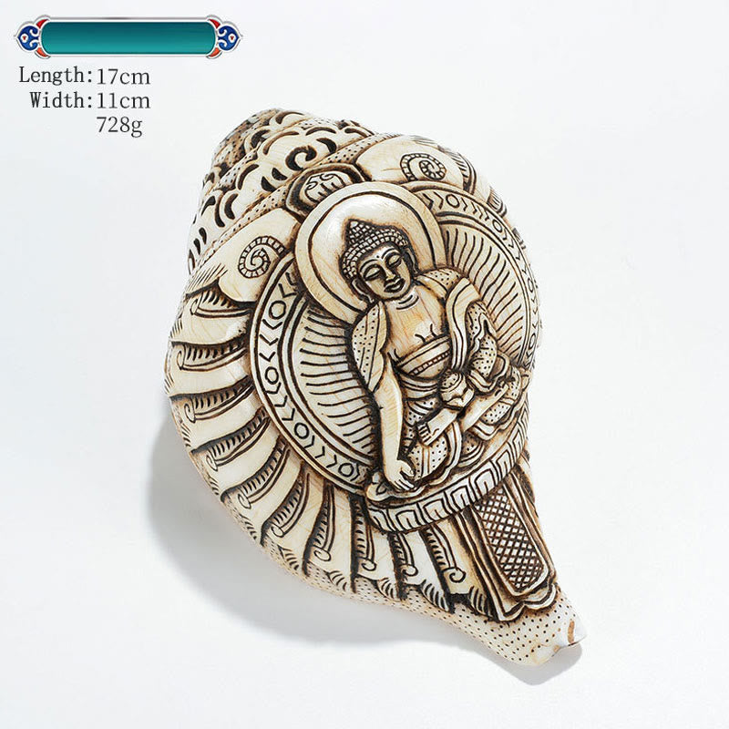 Mythstone Tibetan Handmade Engraved Shankha Buddha Avalokitesvara Conch Shell Wealth Decoration