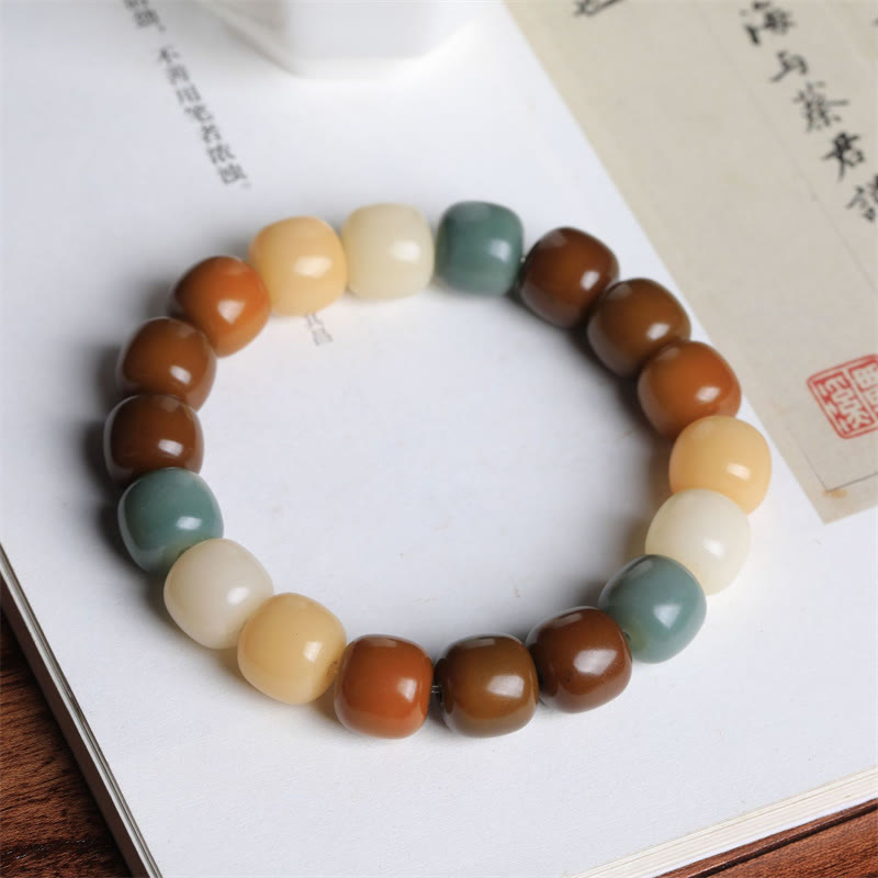 Mythstone Multicolored Bodhi Seed Keep Away Evil Spirits Bracelet