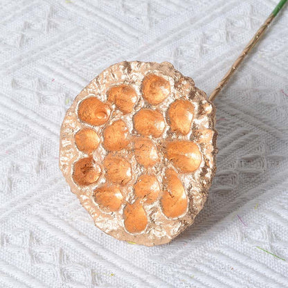 Mythstone Gold Dried Lotus Pod Stemmed Plant Table Bouquet Decoration