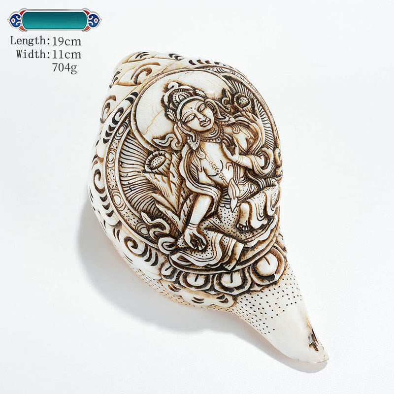 Mythstone Tibetan Handmade Engraved Shankha Buddha Avalokitesvara Conch Shell Wealth Decoration