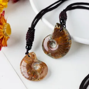 Mythstone Natural Ammonite Fossil Snail Pattern Meditation Healing Necklace Pendant